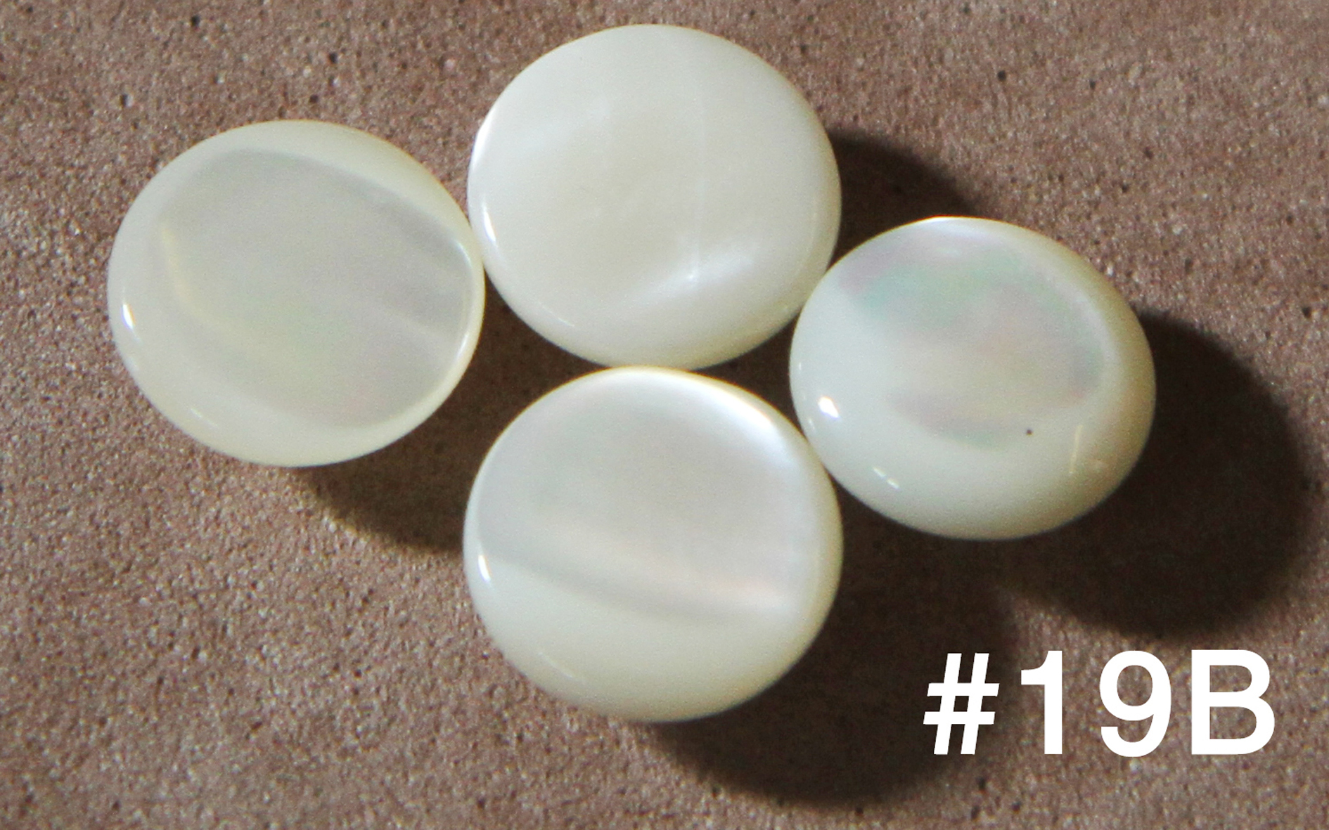 #19B TEN